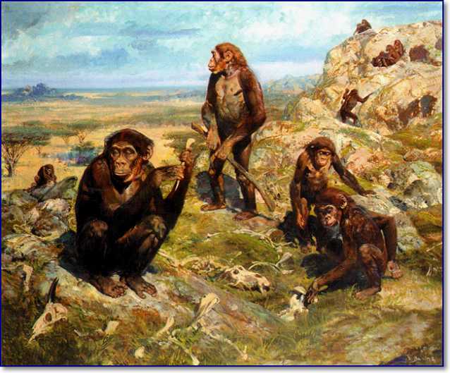 australopithecus africanus zdenek burian 2 638ch529