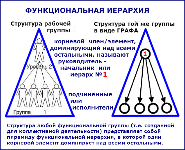 Структура функциональной группы