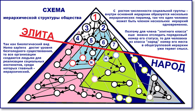 Схема иерархической структуры общества