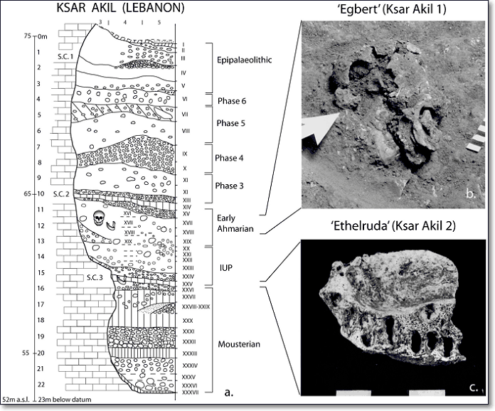 Layer sequence at Ksar Akil in the Levantine corridor, and discovery of two fossils of Homo sapiens
