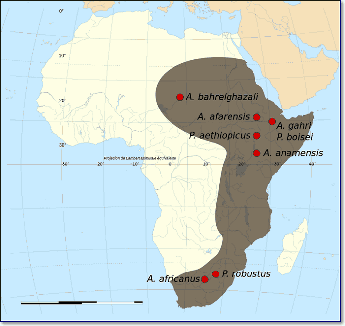 Map of the fossil sites of the early australopithecines in Africa