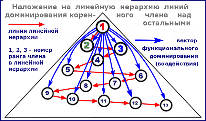 наложение функциональной иерархии коренного члена на линейную иерархию системы