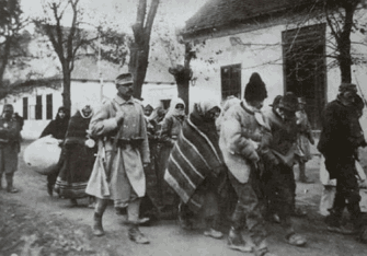 галицкие украинцы относились к русинам так же как хорваты к сербам