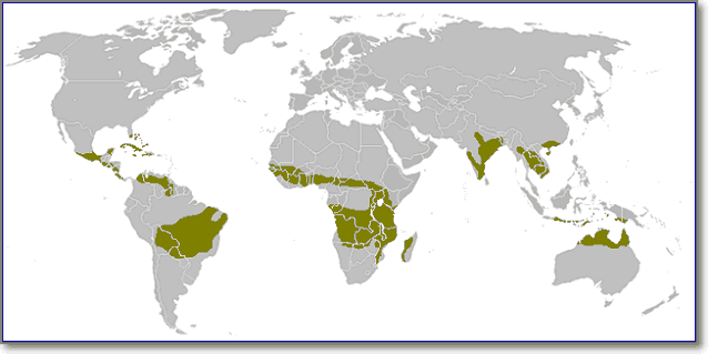 Саванны на карте мира