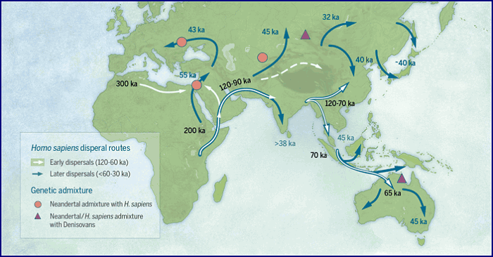 Маршруты миграции Homo sapiens в плейстоцене