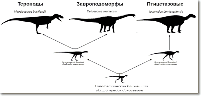 Линии эволюции динозавров