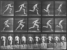 Eadweard Muybridge photo sequence