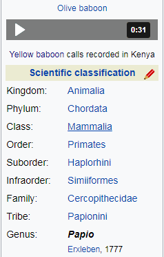 Научная классификация павианов