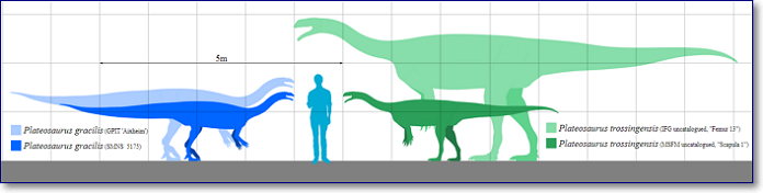 размеры человека и динозавров в сравнении