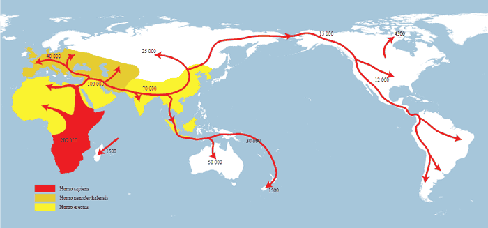 Карта ранних человеческих миграций.