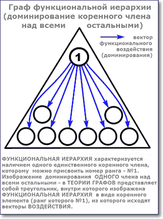 граф функциональной иерархии коренного члена над остальными