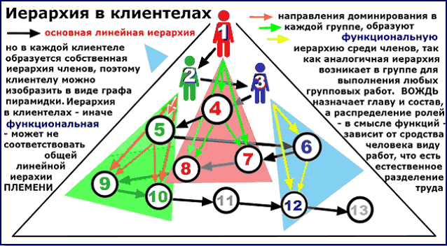 Пирамиды функциональных иерархий КЛИЕНТЕЛ на фоне линейной иерархии общества